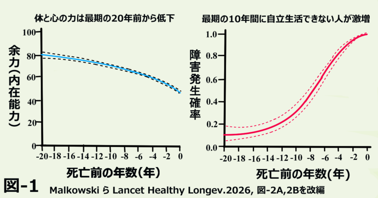 死亡20年前から死亡時までの内在能力と日常生活障害の推移。内在能力は徐々に低下する一方、生活障害は死亡前10年間で急増する。